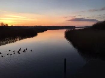 soen-med-solnedgang-og-aender